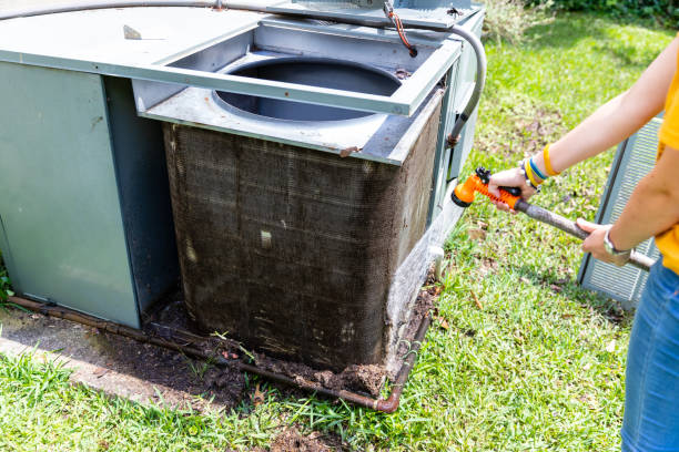 Best Air Vent Cleaning Services  in Cavalier, ND